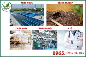 Lợi Ích Của Zeolite Nhật