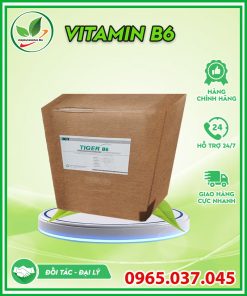 Nguyên Liệu Vitamin B6 cho chăn nuôi