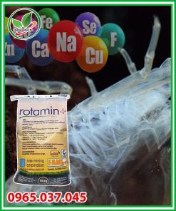 Khoáng Rotamin nguyên liệu cho ao nuôi tôm-03