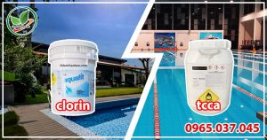 Phân biệt cách so sánh Tcca và Chlorine