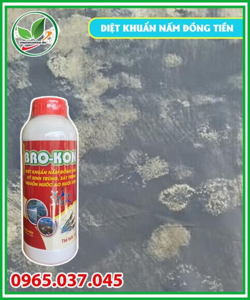 Bro-Kon - Diệt khuẩn, diệt nấm, ký sinh trùng ao nuôi tôm-01