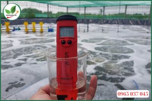 Cách kiểm tra độ mặn của nước nuôi tôm
