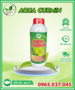 Aqua Curmin