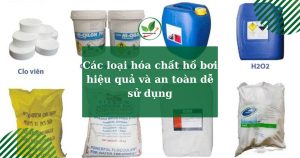 Các loại hóa chất hồ bơi hiệu quả và an toàn dễ sử dụng