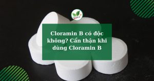 Cloramin B có độc không Cẩn thận khi dùng Cloramin B