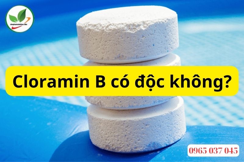 Cloramin B có độc không