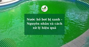 Nước hồ bơi bị xanh - Nguyên nhân và cách xử lý hiệu quả