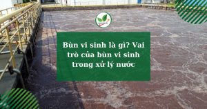 Bùn vi sinh là gì? Vai trò của bùn vi sinh trong xử lý nước