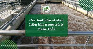 Các loại bùn vi sinh hiếu khí trong xử lý nước thải