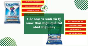 Các loại vi sinh xử lý nước thải hiệu quả tốt nhất hiện nay