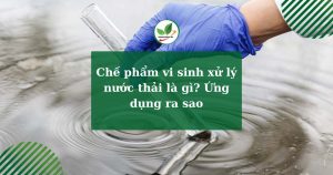 Chế phẩm vi sinh xử lý nước thải là gì? Ứng dụng ra sao