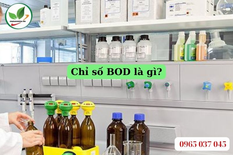 Chỉ số BOD là gì?