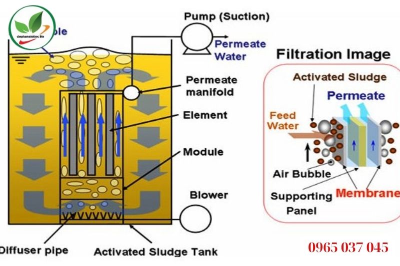 Công nghệ sinh học kết hợp màng lọc