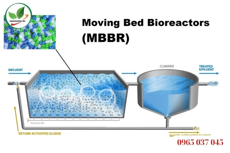 Công nghệ xử lý nước thải MBBR