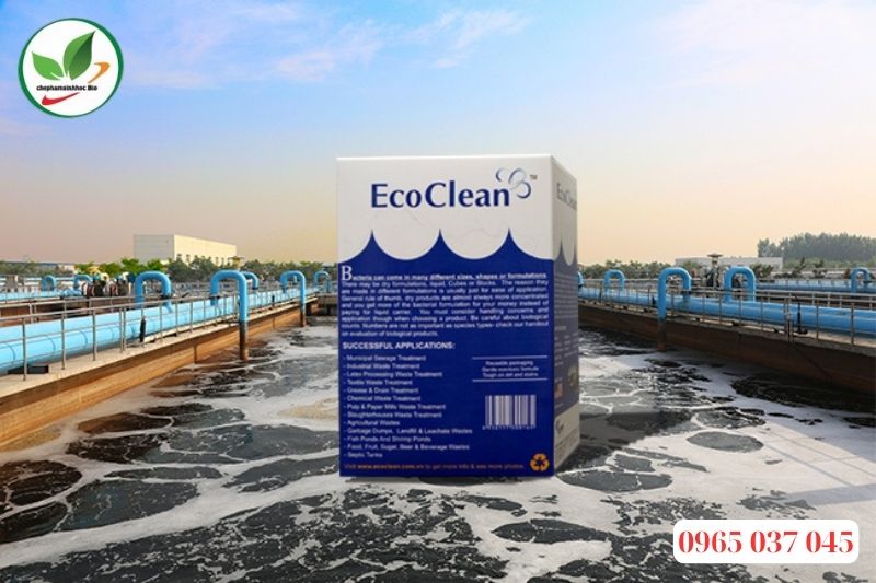 Men vi sinh xử lý nước thải EcoClean