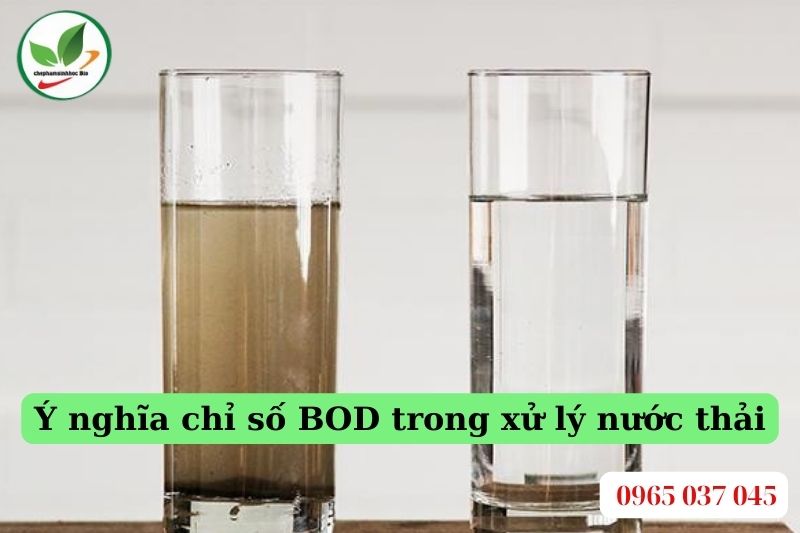 Phân loại chất lượng nước dựa trên chỉ số BOD