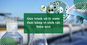 Quy trình xử lý nước thải bằng vi sinh vật hiệu quả