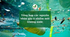 Tổng hợp các nguyên nhân gây ô nhiễm môi trường nước