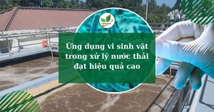 Ứng dụng vi sinh vật trong xử lý nước thải đạt hiệu quả cao