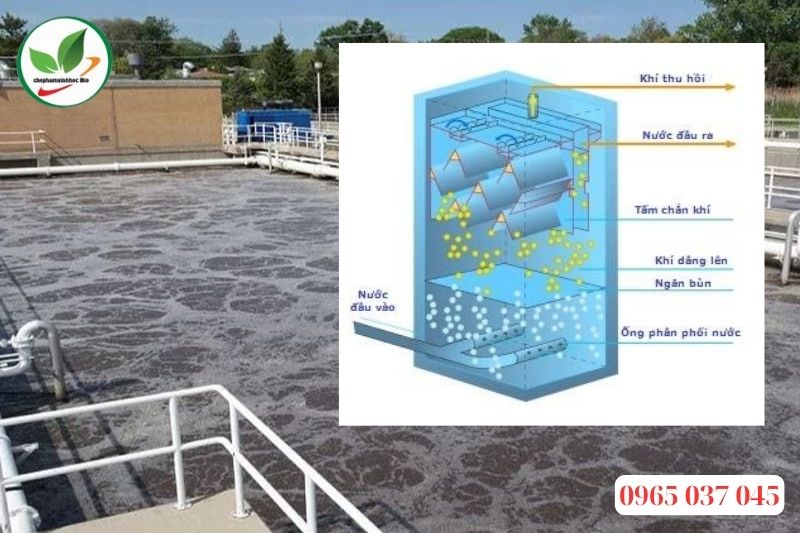 Xử lý nước thải bằng phương pháp sinh học kỵ khí