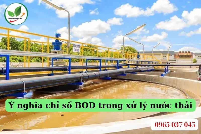 Ý nghĩa chỉ số BOD trong xử lý nước thải