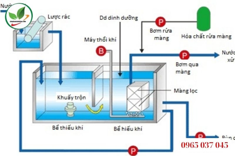 hệ thống xử lý nước thải sinh hoạt gia đình