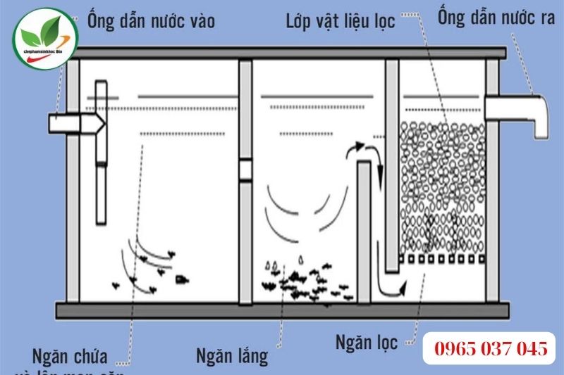 Nguyên lý hoạt động của bể phốt